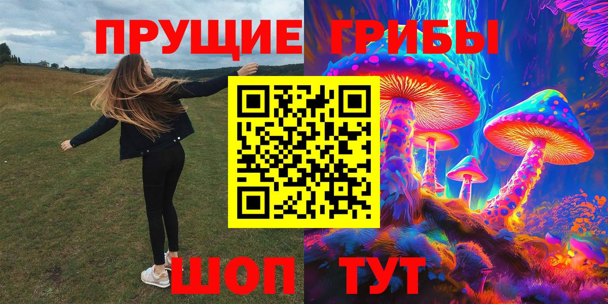 Псилоцибиновые грибы мухоморы Лесной